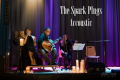 The Spark Plugs Concert - Accoustic